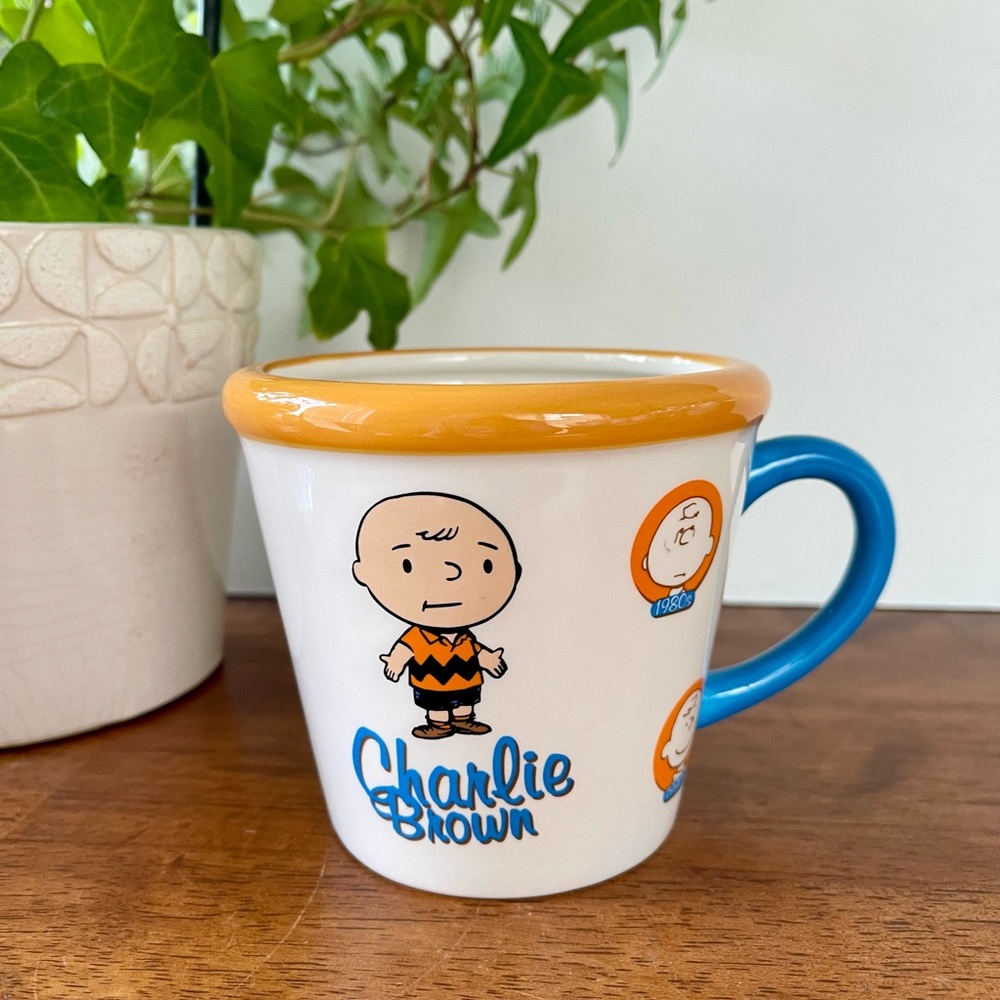 Westland Peanuts CHARLIE BROWN THROUGH THE YEARS  12oz Coffee Mug